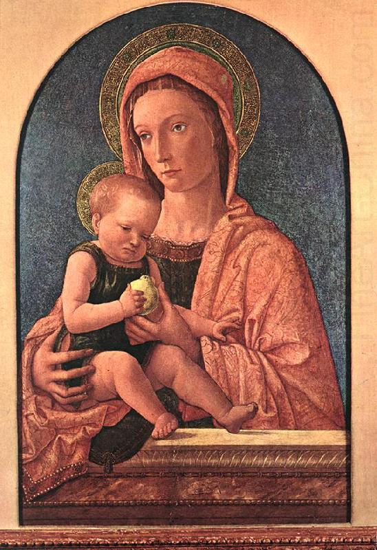 BELLINI, Giovanni Madonna and Child du7 china oil painting image